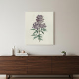 Singular Purple Blossom Branch Unframed Print Wall Art