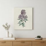 Singular Purple Blossom Branch Unframed Print Wall Art
