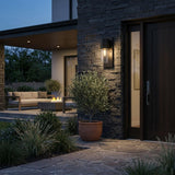 Black And Clear Transparent Dimmable Outdoor Hanging Light With Black And Clear Shades