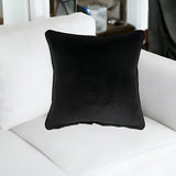 20" Black Cotton Throw Pillow