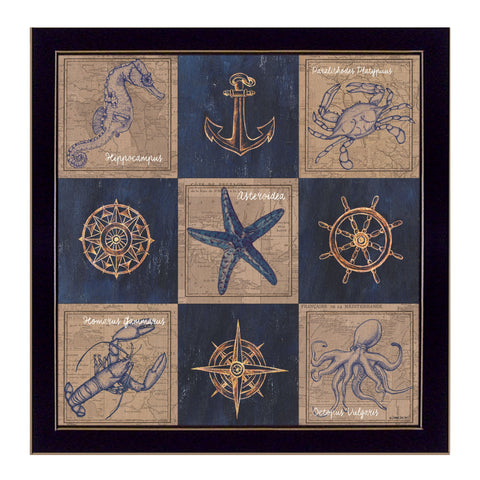 Coastal Collage I Black Framed Print Wall Art