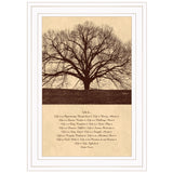 Life Is 5 White Framed Print Wall Art