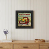 Sunflowers from the Farm 3 Black Framed Print Wall Art