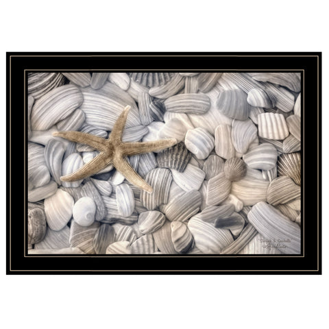 Starfish and Seashells 4 Black Framed Print Wall Art