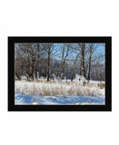 Natures Simple Blessings 3 Black Framed Print Wall Art