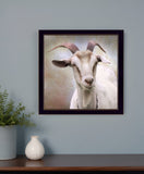 Up Close Goat Black Framed Print Wall Art