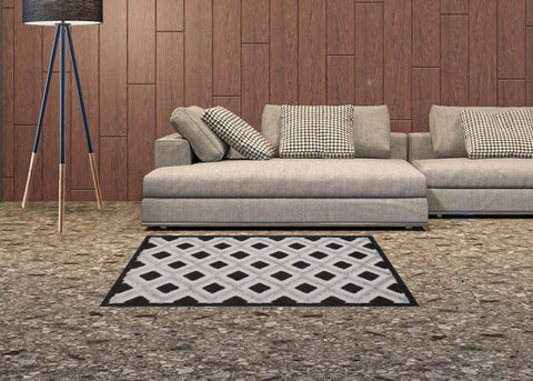 3' X 4' Black And White Indoor Outdoor Area Rug