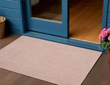 3' X 5' Pink Indoor Outdoor Area Rug
