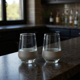Set of Two Clear And Gray Plastic Convex Curve Shape Stemless All Purpose Wine Glass