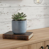 Gray Ceramic 44 Ounce Crackle Mosaic Round Distressed Pot Planter