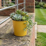 5" Yellow Recycled Plastic Indoor Outdoor Round Pot Planter