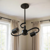 Bronze Bulb Two Light Metal Chandelier