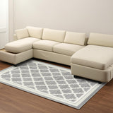 7' X 10' Grey Moroccan Area Rug