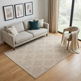 5' X 8' Ivory Geometric Area Rug