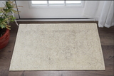 2' X 3' Ivory And Tan Abstract Hand Woven Area Rug