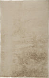 2' X 3' Tan Shag Area Rug