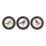 Set of Three Black Bird Circle Framed Art