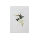 Set of Four White Hummingbird Art