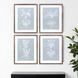 Set of Four Blue And White Flower Solid Wood Framed Art
