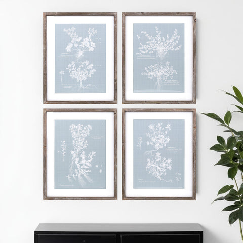 Set of Four Blue And White Flower Solid Wood Framed Art