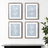 Set of Four Blue And White Flower Solid Wood Framed Art