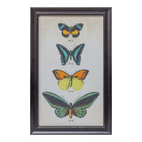 Set of Two Black Blue And Green Butterfly Solid Wood Framed Art