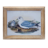13" X 17" Natural And Blue Bird Solid Wood Framed Art