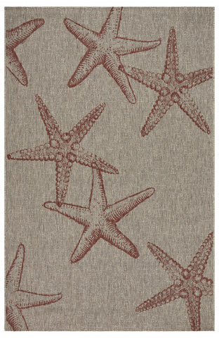 3' X 5' Gray Starfish Indoor Outdoor Area Rug