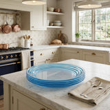 Clear and Blue Four Piece Swirl Acrylic Service For Four Dinner Plate Set