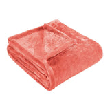Twin Coral Fleece Plush Blanket