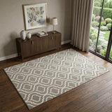4' X 6' Gray Moroccan Power Loom Area Rug