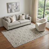 5' X 7' Gray Moroccan Power Loom Area Rug