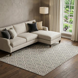 8' X 10' Gray Moroccan Power Loom Area Rug