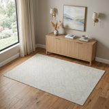 4' X 6' Ivory And Gray Moroccan Area Rug