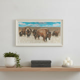Bison Herd White Framed Print Wall Art