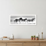 Horses Rolling By White Framed Print Wall Art