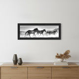 Horses Rolling By Black Framed Print Wall Art