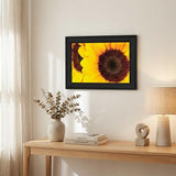 Sunflower Portrait Black Framed Print Wall Art