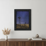 Starlit Night Black Framed Print Wall Art