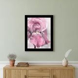 Pink Iris Black Framed Print Wall Art