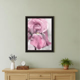 Pink Iris Black Framed Print Wall Art
