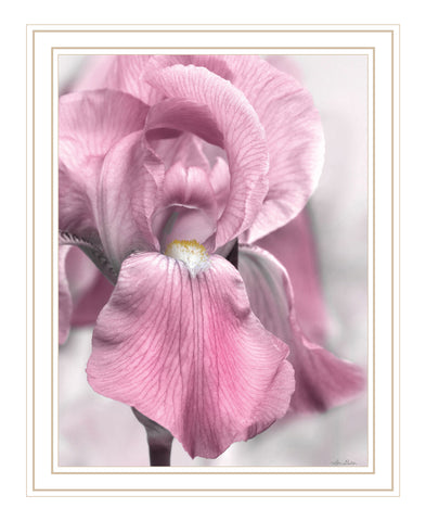 Pink Iris White Framed Print Wall Art
