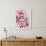 Pink Iris White Framed Print Wall Art
