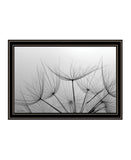 Love is a Delicate Flower Black Framed Print Wall Art