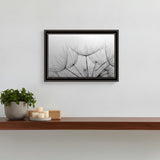 Love is a Delicate Flower Black Framed Print Wall Art