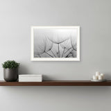 Love is a Delicate Flower White Framed Print Wall Art
