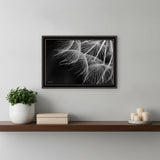 Delicate Beauty Black Framed Print Wall Art