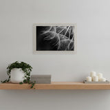Delicate Beauty White Framed Print Wall Art