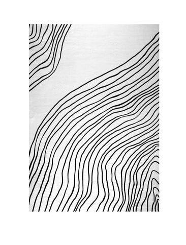 4' X 6' Black and White Abstract Area Rug