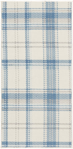 2' X 4' Blue and Ivory Plaid Power Loom Area Rug